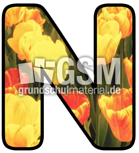 Dekobuchstaben-Tulpe_N.jpg